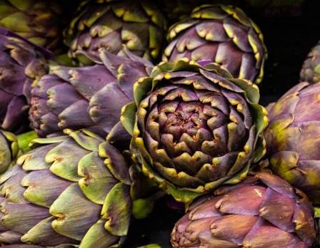 11 Tips to Prepare, Cook and Eat an Artichoke
