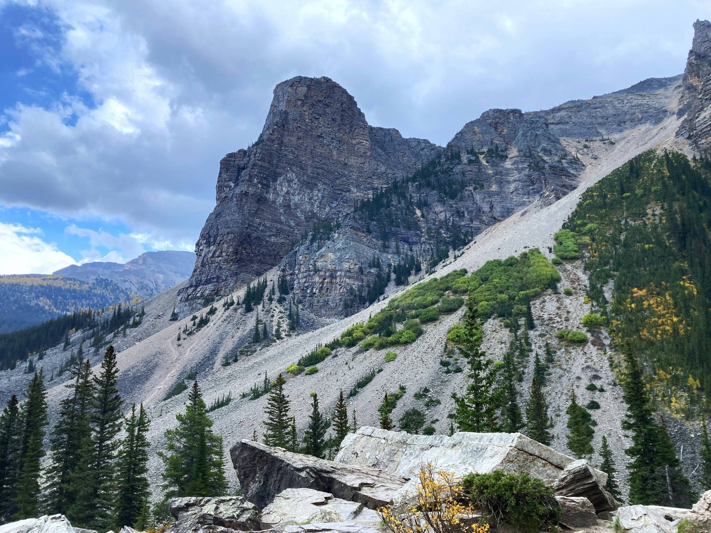 a view of a mountain range with trees in the foreground