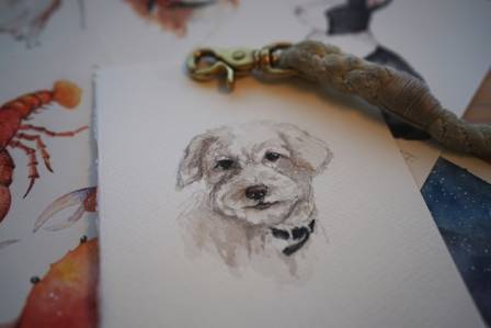 How to Draw Chibi Animals