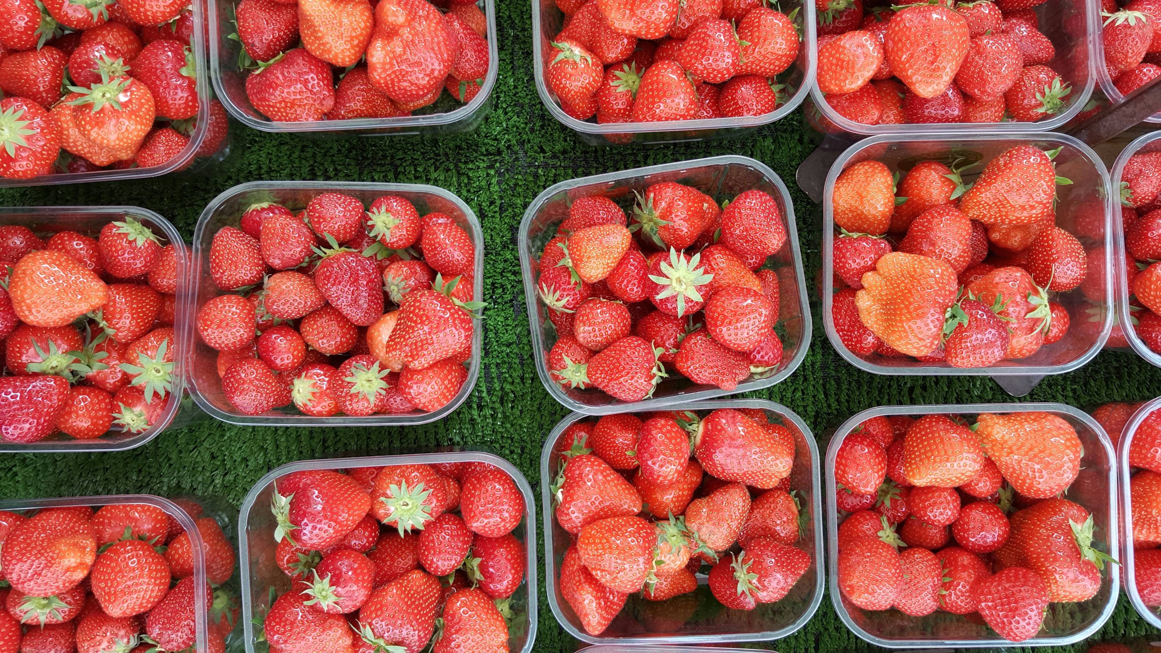 strawberries in clear pack lot