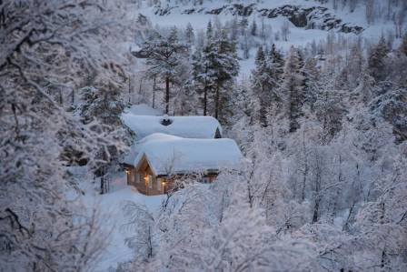 8 Types of Cozy Cabin Retreats for Your Snowy Escape