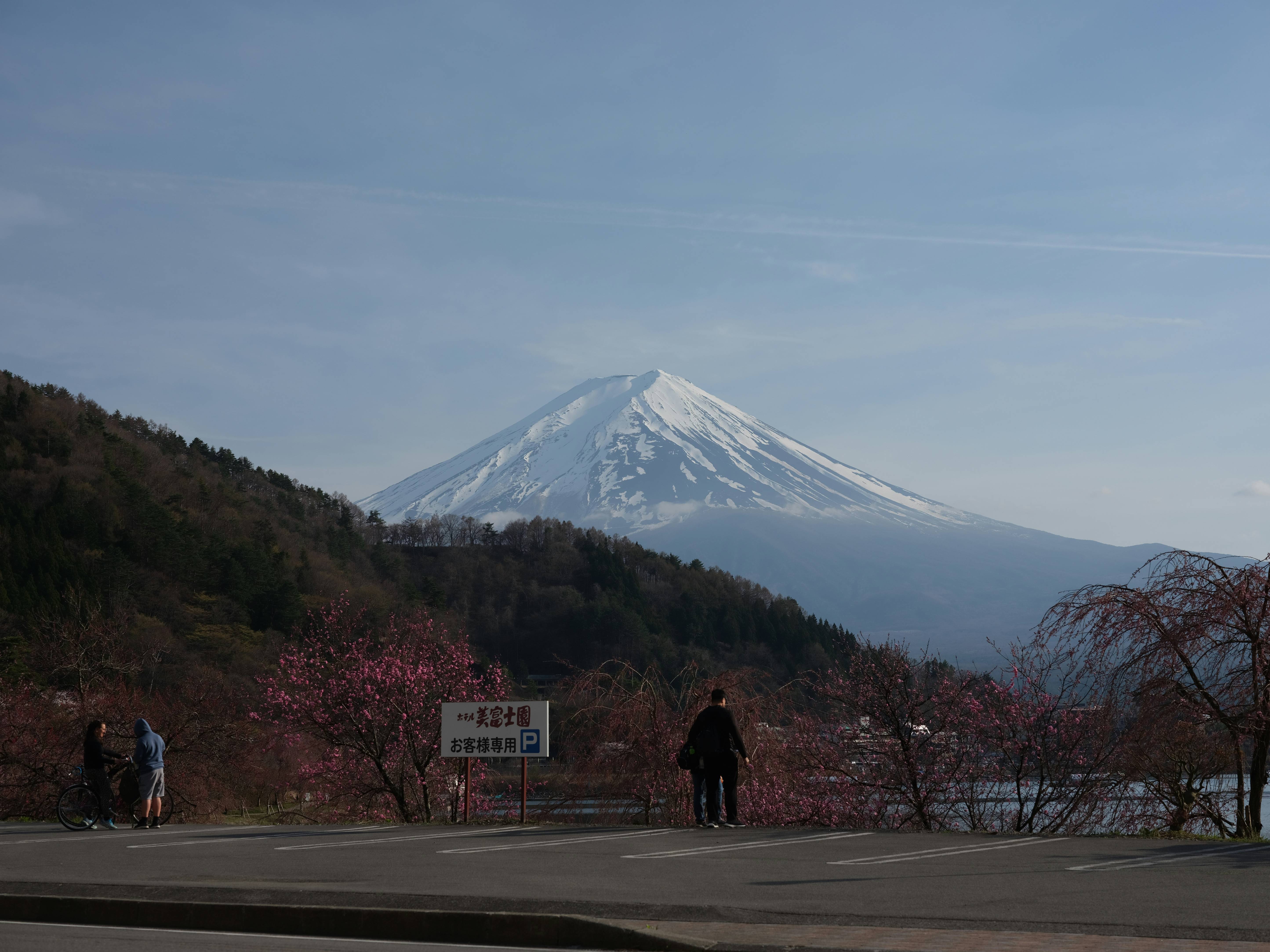 Mount fuji dominates the beautiful scenic landscape.