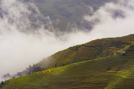 Discovering Asia's Most Stunning Rice Terraces